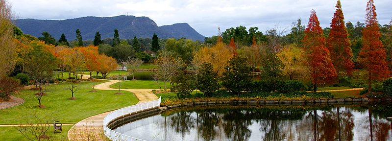 Hunter Valley in autumn