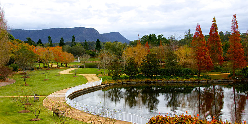 Hunter Valley in autumn