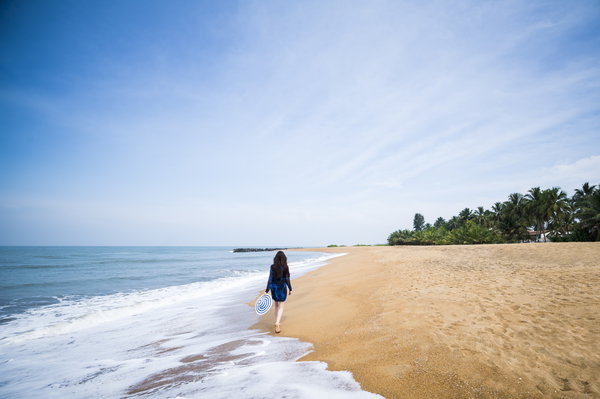 Palm fringed golden sand beaches in Kalutara