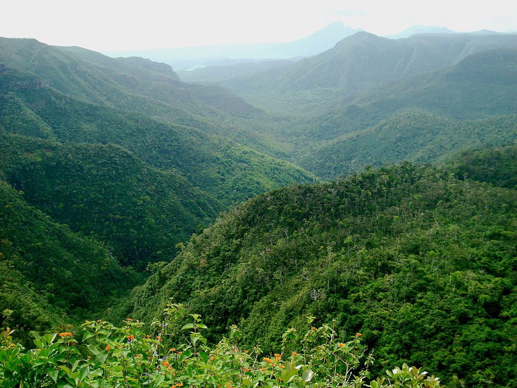 Black River Gorges National Park