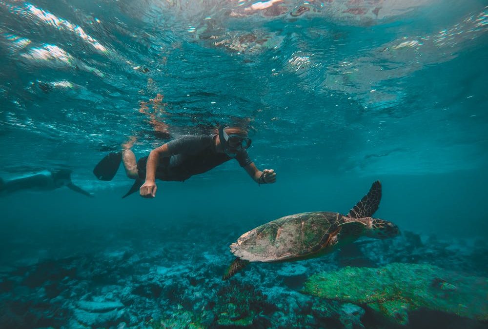 Snorkeling in Salalah Oman