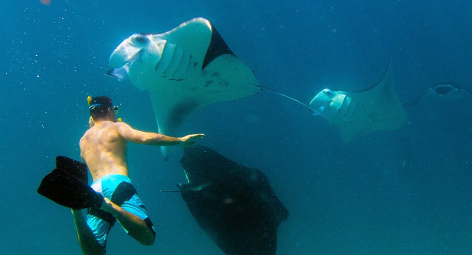 Snorkelling in the Maldives