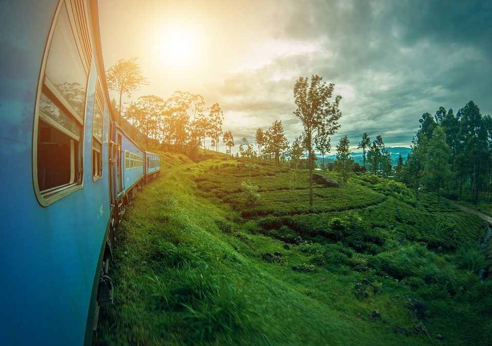 Why Travel to Sri Lanka? For the Most Enriching Adventure of Your Life of Course!