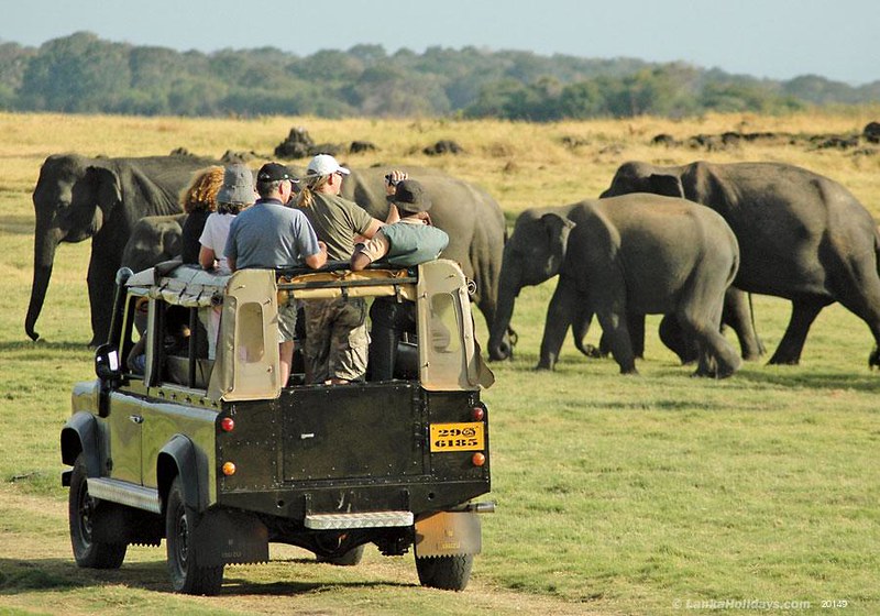 Things you’ll love about Sri Lanka- It’s a beautiful paradise with the humblest people!