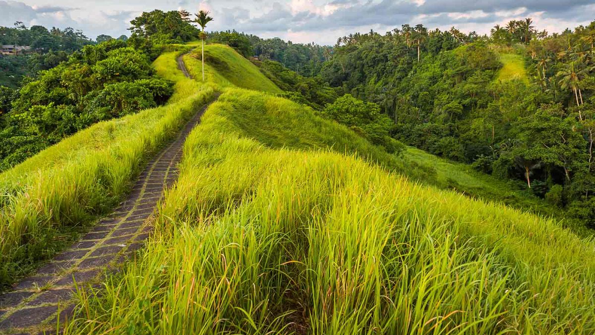 Reasons to Go Trekking in Ubud Bali