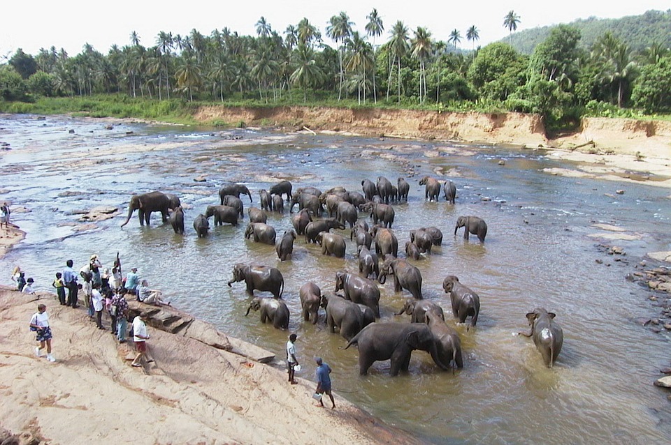Tours in Sri Lanka on an Unforgettable Holiday