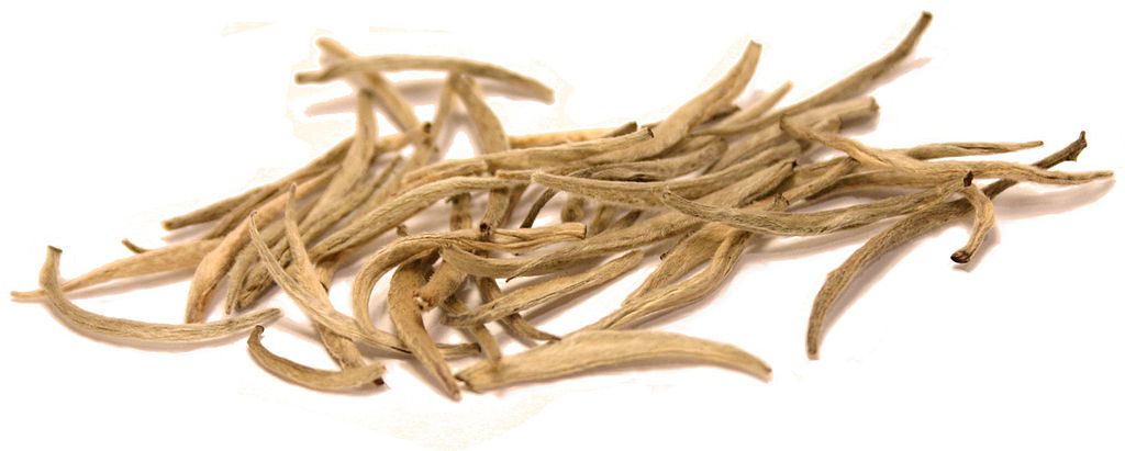 Virgin White Tea Experience in Sri Lanka