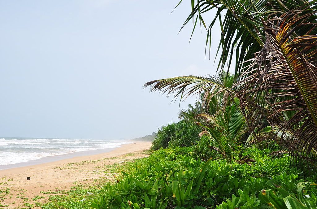 Top Reasons to Visit Bentota Sri Lanka