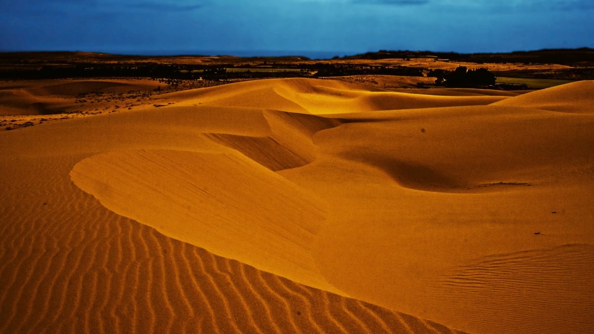 Explore the White and Red Sand Dunes in Mui Ne