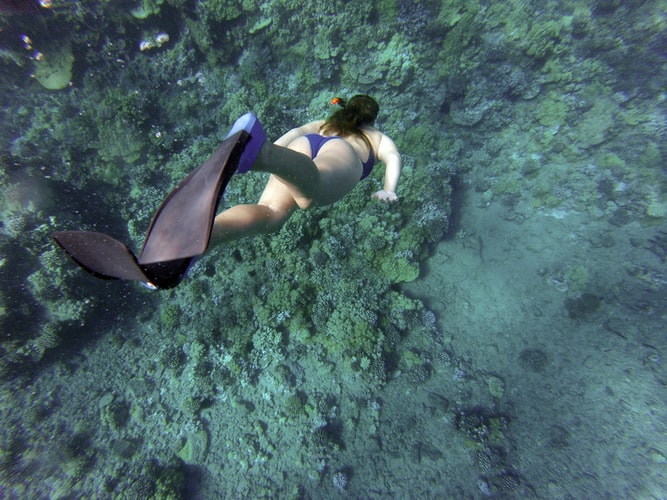 The Best Things to do in Maldives