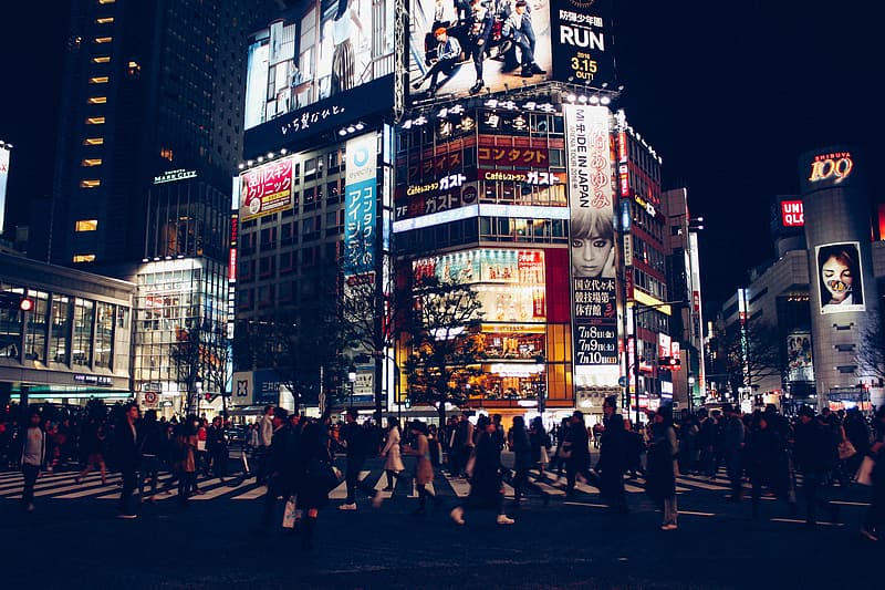 Top things to do in Shibuya