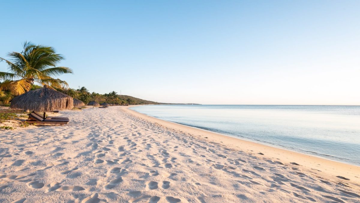 The Mozambique Coast