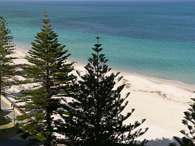 An Ultimate Guide to Explore and Enjoy Vacation at Glenelg Beach!