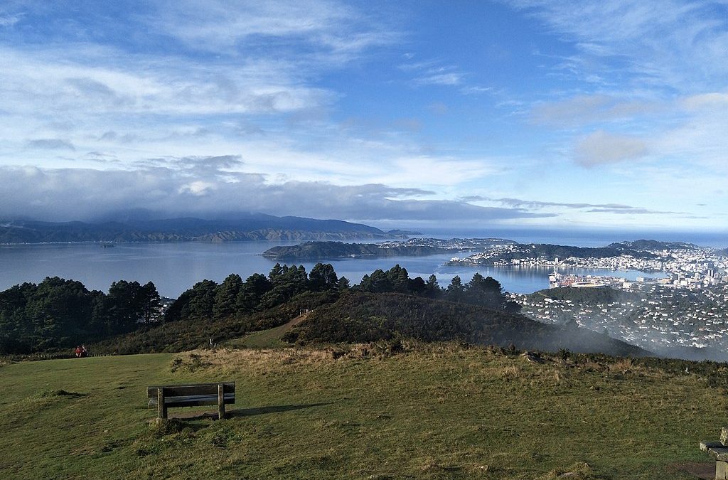 Fall in Love with Wellington