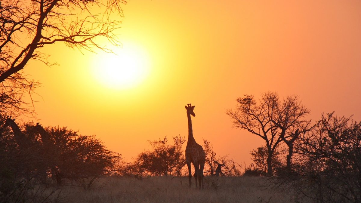 Zambia travel
