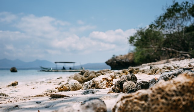 Bali’s Coral Reefs
