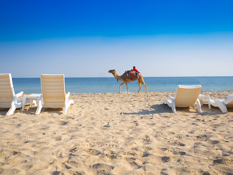 Fun Adventures Exploring Doha