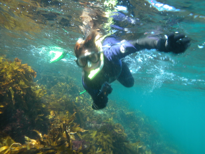 Snorkelling