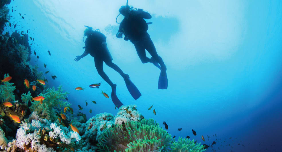 Best Diving Sites in Phuket