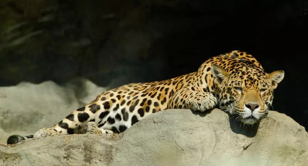 A Day At Yala National Park