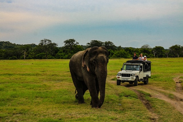 Discover the Beauty of Sri Lanka