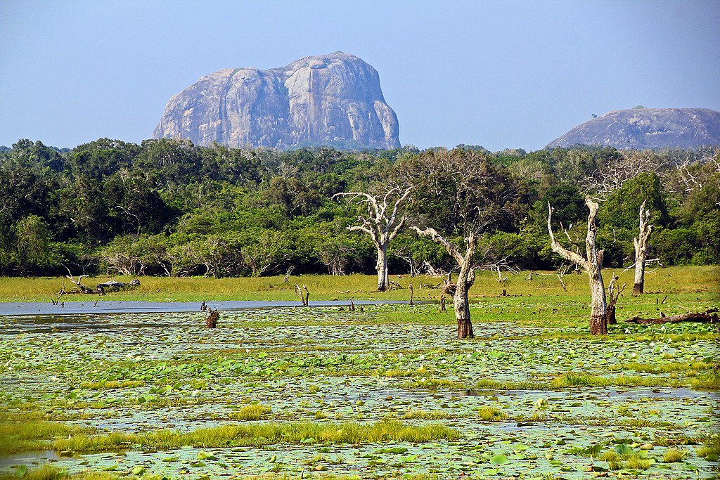 Yala_National_Park_(Sri_Lanka_2012)