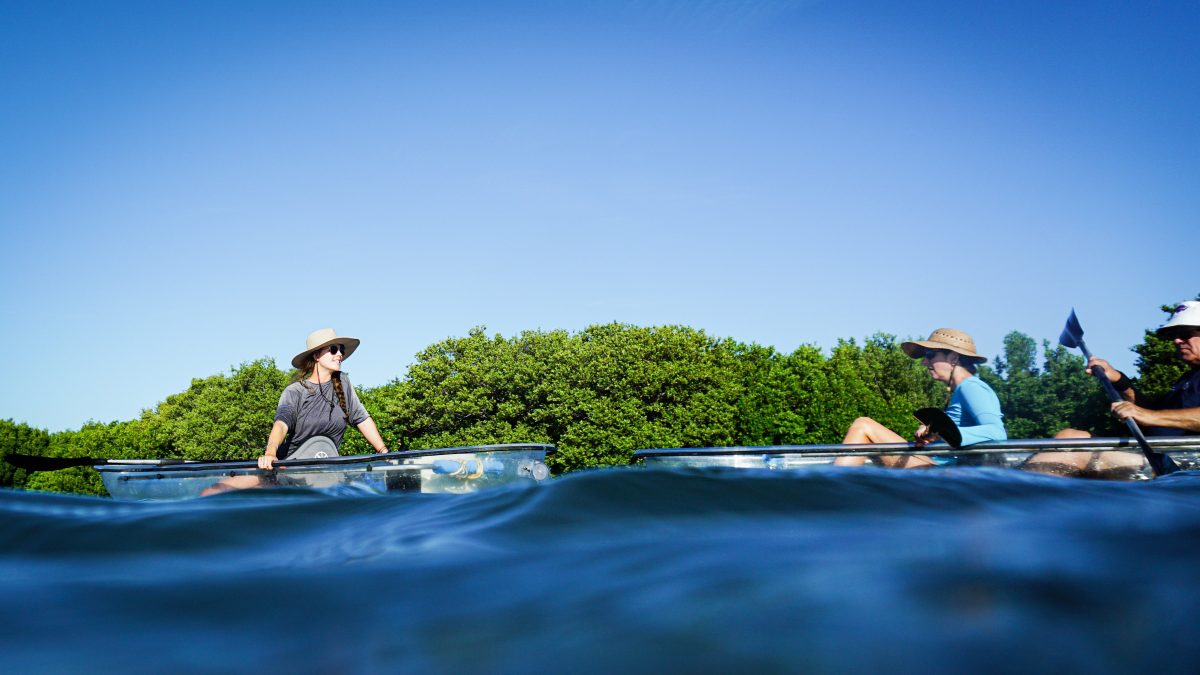 Have you ever gone kayaking in the Abu Dhabi mangroves on the eastern side?