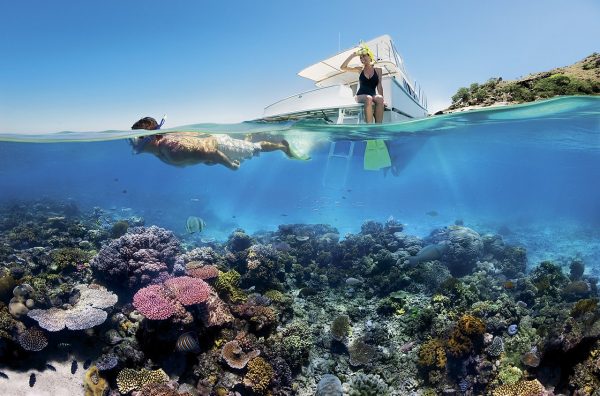 Reef_Snorkelling