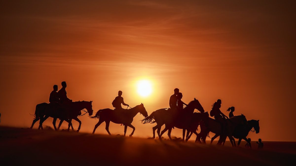 Horse Riding in Abu Dhabi