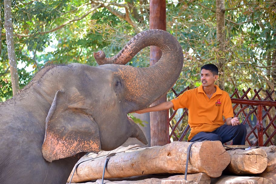 Meaningful Travel to Detox Yourself in Thailand