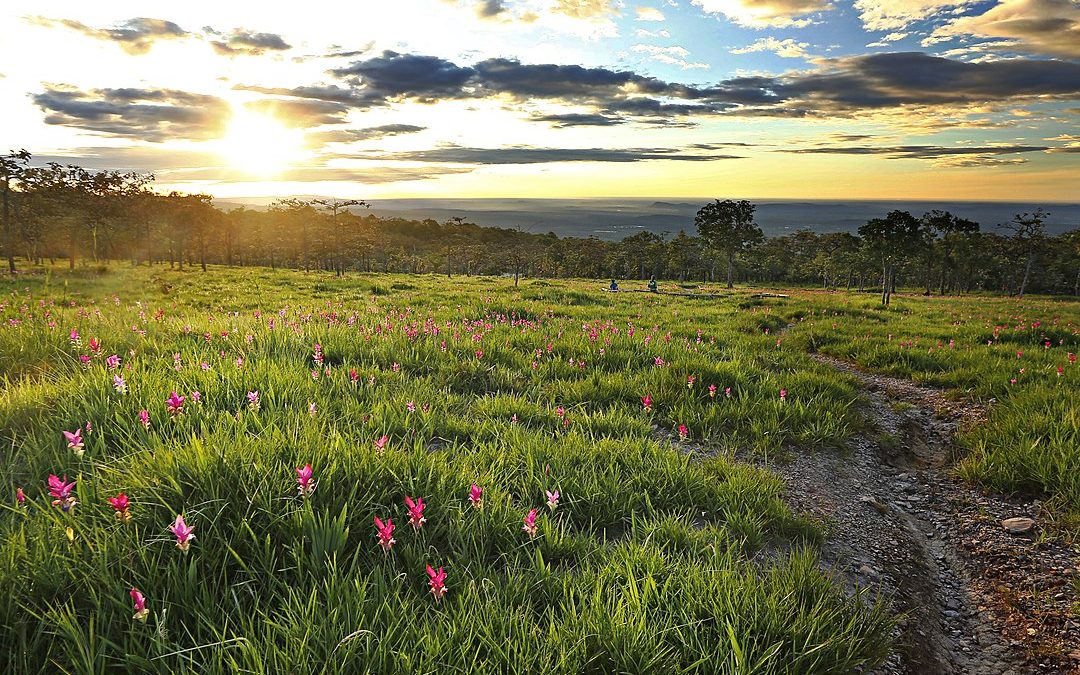 Discover the Hidden Gems of Thailand