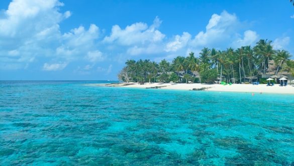 Maldives' coral reefs