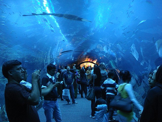 How To Plan an Unforgettable Family Vacation Tour