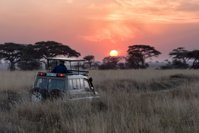 Why Tanzania Is the Perfect Choice for a Family Safari?