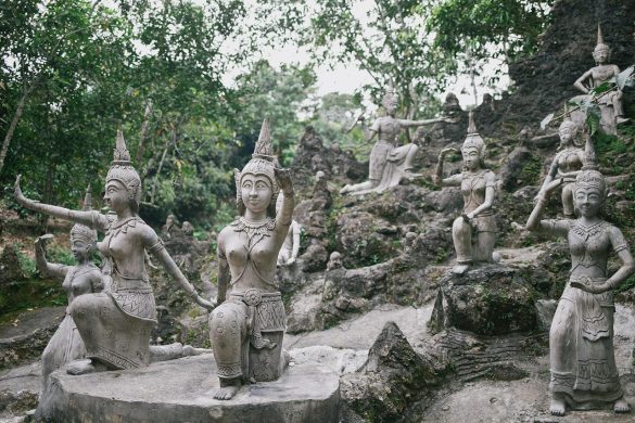 Tarnim Magic Garden