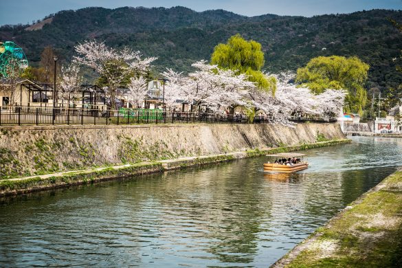 Spring in Kyoto