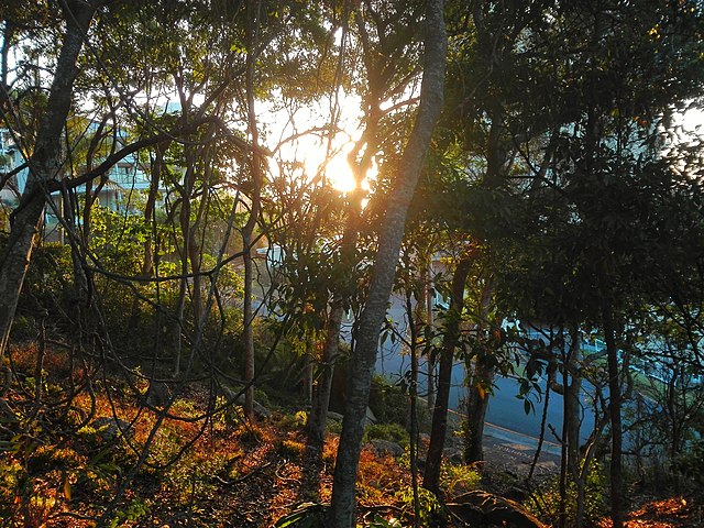 A Visit to Burleigh Head National Park
