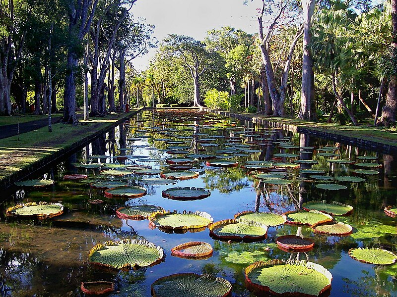 Hidden Treasures in Mauritius