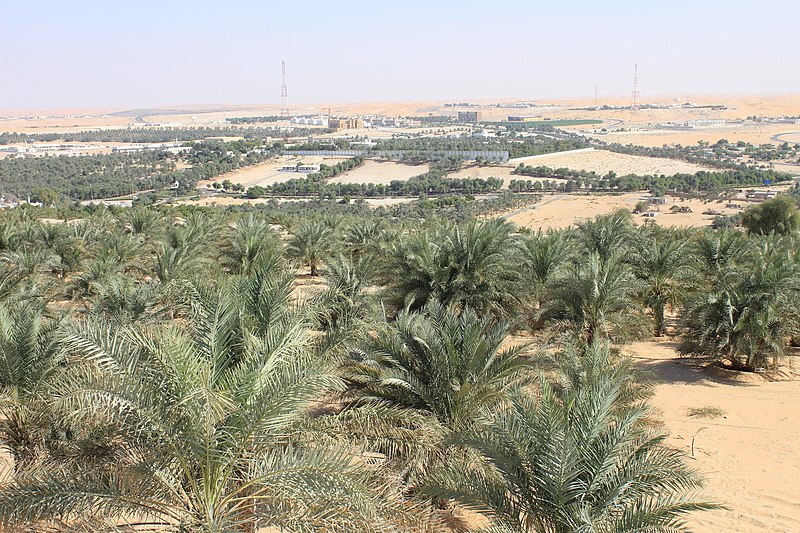 Unique Places to Visit in Dubai