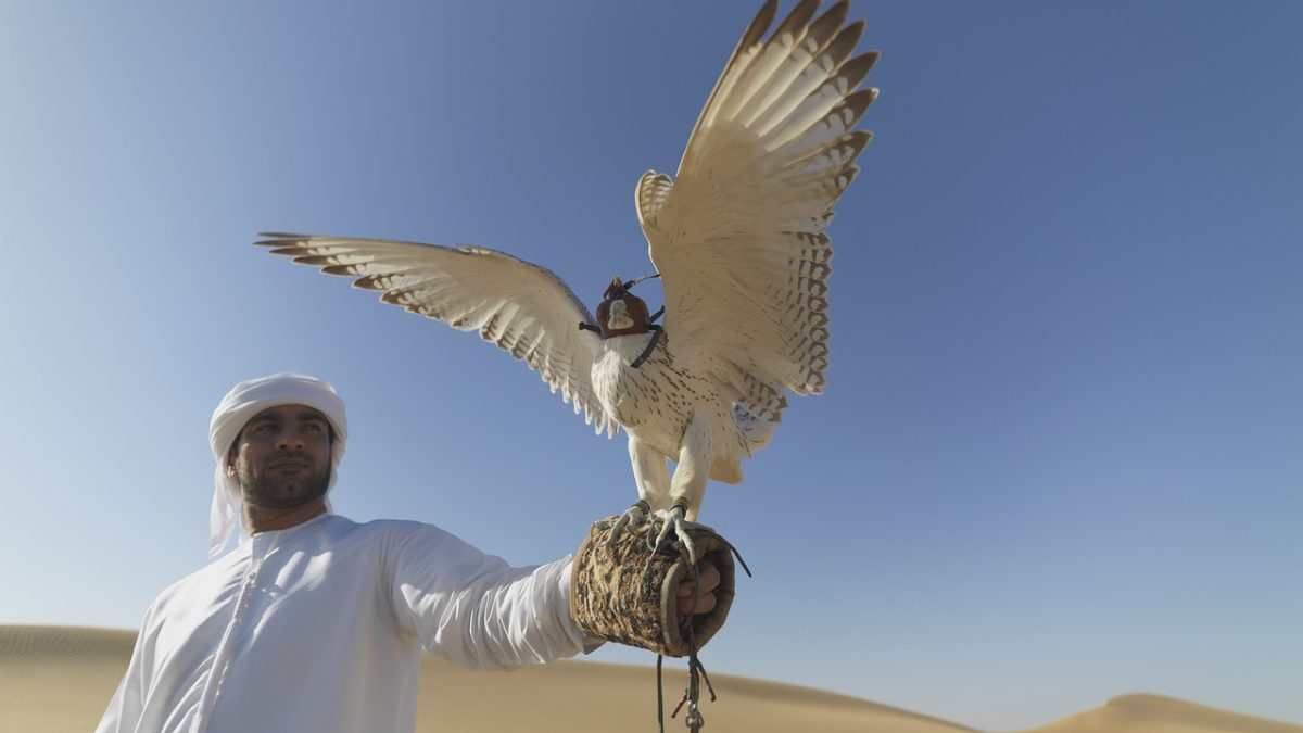 What to Add to Your Itinerary for Sir Bani Yas Island Getaways
