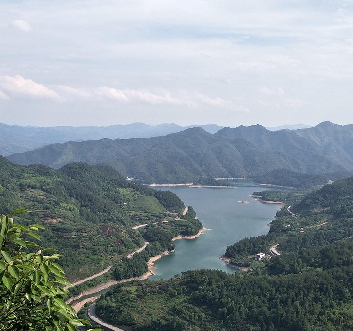 Top Cultural Experiences in Ningbo You Can’t Miss This Summer: A City Where Tradition Meets Modern Vibes