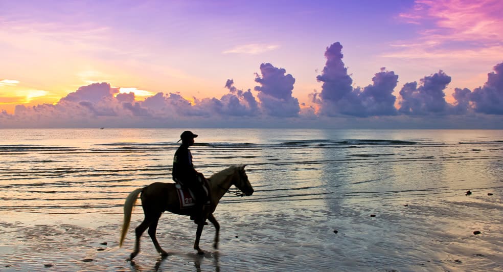 Seaside Calm & Cultural Finds