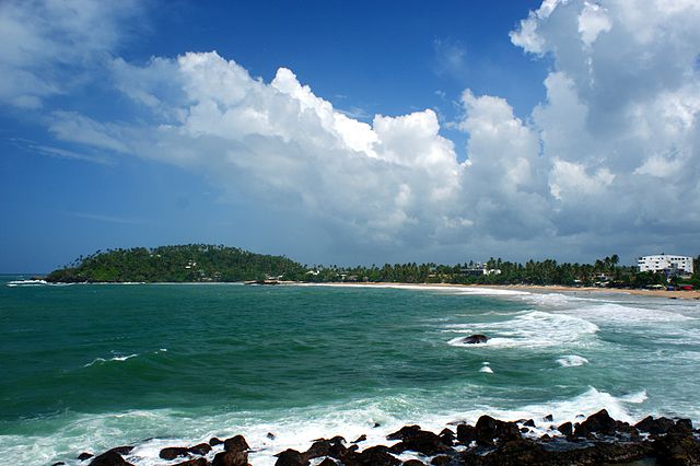 Explore Mirissa: Experiences Not to Be Missed!