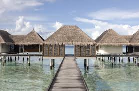 Thatched-roof villa