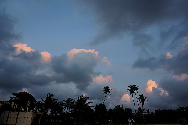 Escaping to the Tranquil Bentota: What Makes it the Ultimate Beach Escape