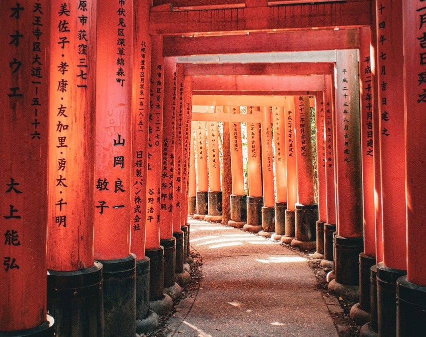 Finding Peace in the Heart of Kyoto’s Busy Streets: Things to Do to Take it Slow