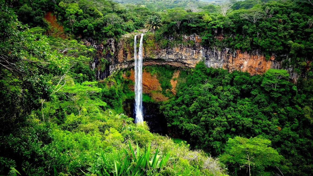 Mauritius’ Shores: Experiencing Adventure and Culture 