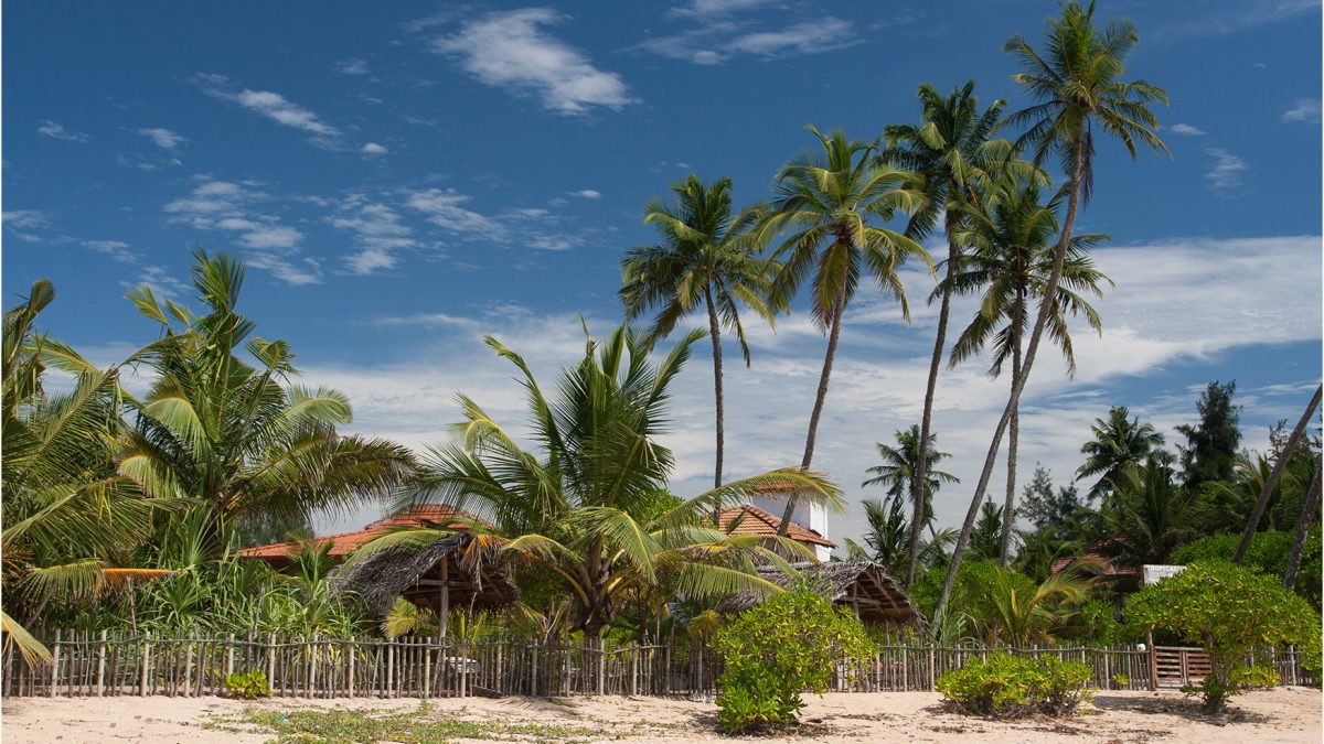 Relaxing on Tangalle’s Beaches: Why They’re Perfect for a Getaway