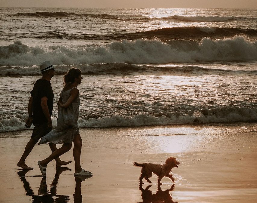 Spending Your First Three Days in Bali: Adventures, Culture & Tranquillity