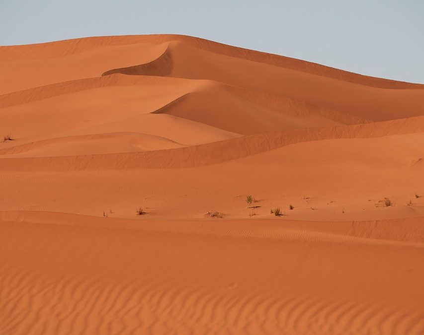 Exploring the Sand Dunes of Mui Ne